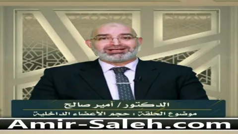 حجم الأعضاء الداخلية عند الذكر والأنثى  | برنامج وليس الذكر كالأنثى