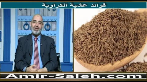 فوائد عشبة الكراوية