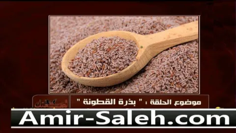 فوائد بذرة القطونة  | خمسة لصحتك