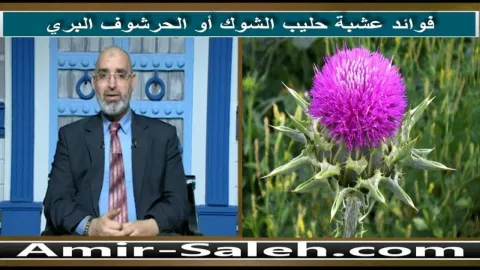فوائد عشبة حليب الشوك أو الحرشوف البري